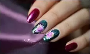 Quelle fleur entrait toujours dans la préparation des onguents faits par les sorcières ?