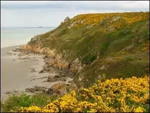 Vous redoutez la concurrence, alors garantissez-vous pour l'éternité avec une préparation à base ------ !