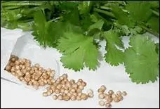 Que vous faut-il afin de favoriser courage et volonté ?