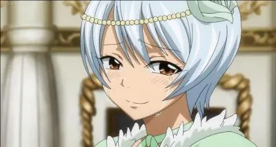 Je suis une constellationniste et membre de la guilde Saber Tooth. Je me nomme :