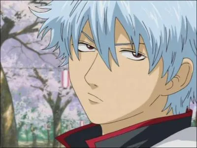 Je suis un freelanceur ainsi qu'un samouraï et suis surnommé "Shiroyasha". Je suis :