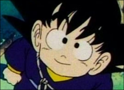 Combien d'années Goku a-t-il passées sur l'île Yahhoy (Avant le 22ème tournoi) ?