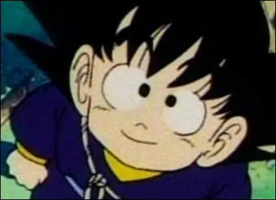 Combien d'années Goku a-t-il passées sur l'île Yahhoy (Avant le 22ème Championnat du Monde) ?