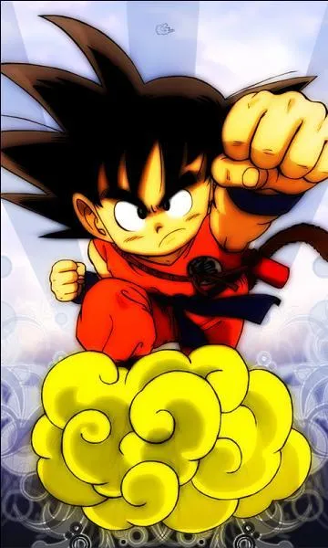 Comment est appellé le nuage de Goku ?