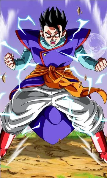 Qu'a fait Gohan pour réussir à enlever la Z-Sword ?