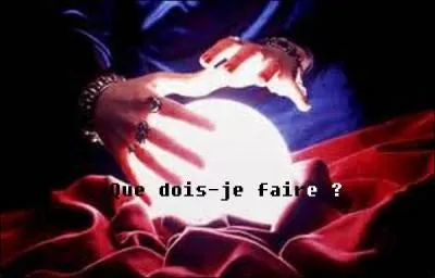 Voilà une question dont la réponse est facile à deviner ! 
Qu'est-ce qui est écrit sur la boule de cristal ?