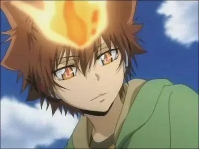 Je suis le Vongola Decimo et serai le leader de la team Reborn lors de la Bataille de l'Arc-en-Ciel. Je suis...