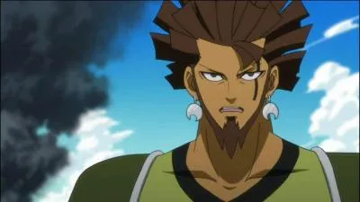 Je suis l'un des 7 Chevaliers du Purgatoire de la guilde noire Grimoire Heart et je possède l'Arche des Arbres. Je suis...