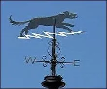 Quel est ce mythe très présent dans le folklore de l'Angleterre faisant état d'un animal fantomatique hantant les cimetières, ou de bêtes immenses capables de tuer un homme ?