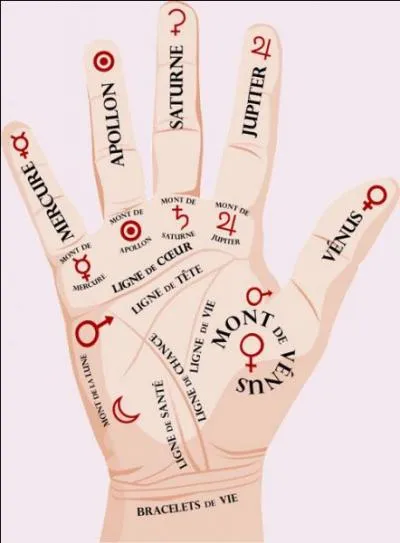 Pratique divinatoire consistant à étudier les lignes et autres signes de la paume de la main :