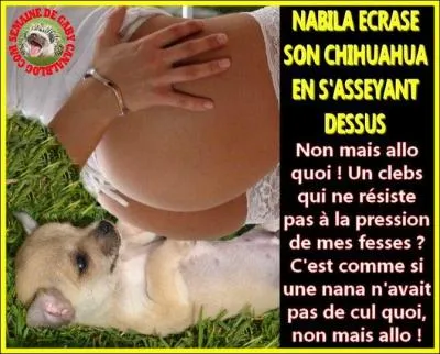 Qui mange un chien ...