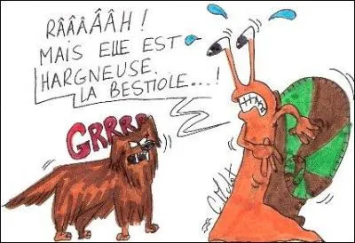 Mieux vaut une eau tarie ...