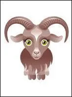 Signe représenté par un poisson-chèvre, je me situe pendant les fêtes de fin d'année, je suis le :