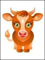 Je suis né le 21 Mai, quel est mon signe astrologique ?