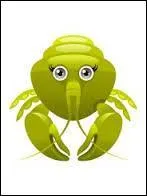 Ceci est mon signe du zodiaque : je suis née le 21 Juillet, 3 e décan. Je suis du signe du :