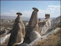 Que sont ces cheminées ?