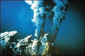 En quelle année les cheminées hydrothermales ont-elles été découvertes ?