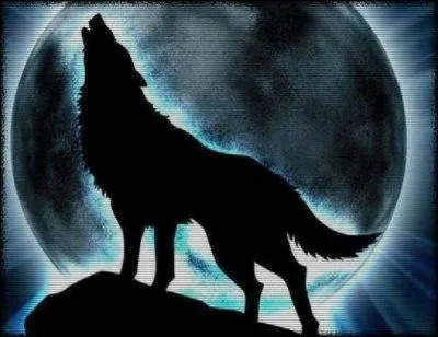 Quel est l'autre nom du loup-garou ?