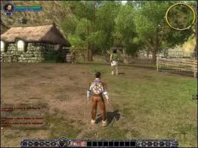 Quel est ce jeu vidéo, ayant fait de la magie son univers principal, inspiré d'un célèbre film lui-même adaptation du roman célébrissime de J. R. R. Tolkien ?