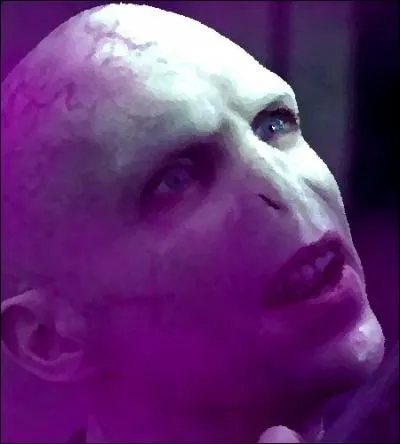 _______________ Chapitre 4 : La rhétorique de la terreur _______________

« Je sens les effluves de la culpabilité. Une terrible culpabilité qui empeste l'atmosphère. [] Comment se fait-il que tous ces sorciers ne soient jamais venus au secours de leur maître à qui ils avaient juré une fidélité éternelle ? »