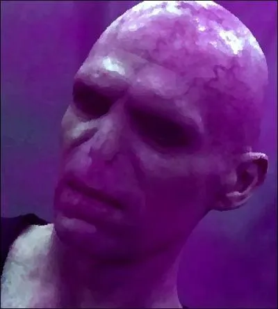 « Comment ont-ils pu penser que je ne reviendrais pas ? [] Eux qui avaient eu la preuve de l'immensité de mes pouvoirs, au temps où j'étais le plus puissant des sorciers ? »