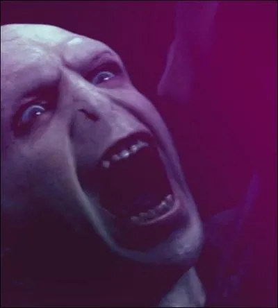 ________________________ Chapitre 5 : Duel ________________________

Dans sa mansuétude, Voldemort tient à faire les choses proprement. Quelle faveur fait-il à Harry ?