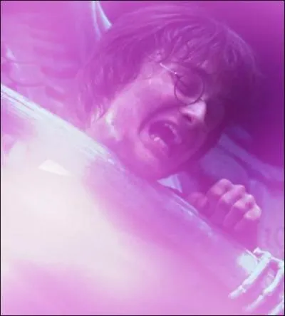 Et choisit de prendre le sang de son égal, Harry Potter, en pensant que cela le renforcerait davantage. Pourquoi a-t-il fait cela ?