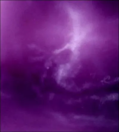 « Aucun d'eux ne peut vivre tant que l'autre survit. » 

Cette prophétie ne vaut désormais plus rien : en prenant le sang d'Harry, Voldemort commet sa plus grosse erreur. Quel aphorisme pourrait-on édicter pour résumer la situation actuelle ?