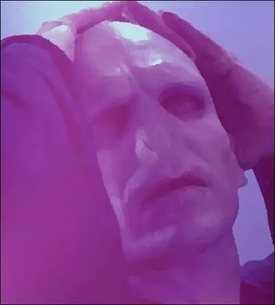 Relisez l'extrait précédent pour retrouver la bonne description...