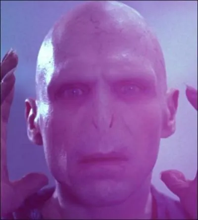 Relisez l'extrait précédent pour retrouver la bonne description...