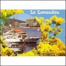Le Lavandou se situe sur ...