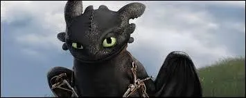 De quel dessin animé provient ce dragon trop mignon ?