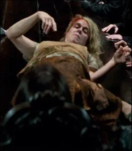 Mon tort pour Voldemort, c'est la matière que j'enseignais, l'étude des Moldus. Voldemort m'a tué pour ça, je suis...