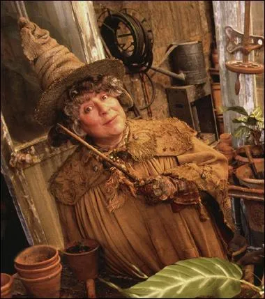 Je suis professeur en botanique et directrice de la maison Poufsouffle, je suis...