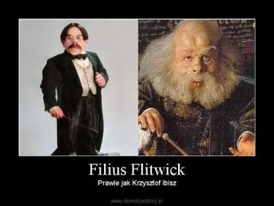 Le professeur Filius Flitwick est professeur de sortilèges et directeur de la maison Serdaigle, quelle est son autre fonction ? ( Au fil des films, il a changé d'apparence, c'est pour cela que je vous ai mis cette photo).