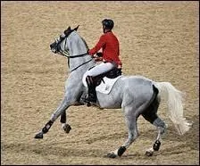 Quel holstein a remporté la médaille d'or aux Jeux équestres mondiaux d'Aix-la-Chapelle en 2006, la médaille d'argent aux Championnats d'Europe en 2007 à Mannheim et a été 10e de la finale des Jeux olympiques en 2008 à Pékin ?