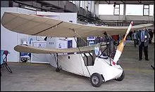 Qu'est-ce qu'un Pou-du-ciel ?