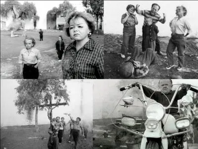 Ce film est un drame allemand, il a été réalisé par Werner Herzog.
Helmut Döring, Paul Glauer, Gisela Hertwig, Hertel Minkner font partie de la distribution. 
Des gens de petite taille sont incarcérés dans une vaste ferme. Ils se révoltent après l'incarcération d'un des leurs et réalisent quelques méfaits. Une tentative de négociation commence
Quel est ce film ?