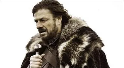 Lesquels de ces titres Ned Stark a-t-il déjà possédé ?