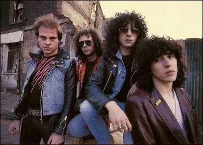 Quel est ce groupe de rock fran&ccedil;ais, qui nous a chant&eacute; : " Antisocial" ?