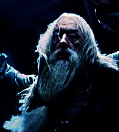 Mais la belle histoire ne pouvait durer. Afin de conserver la mécanique du plan, le directeur de Poudlard se sacrifie. Black et Rogue se terrent alors impasse du Tisseur. Qui leur tient compagnie ?