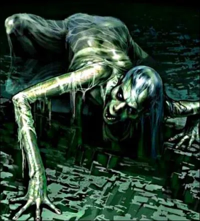 L'elfe s'enfuit avec le médaillon, l'homme s'enfonce avec les Inferi. Il parvient facilement à les maîtriser à l'aide d'un charme du bouclier. Sorti du lac, effrayé à vie, il décide désormais de dédier son temps à un seul but : trouver et détruire de l'Horcruxe. Comment fonctionnent-ils ?