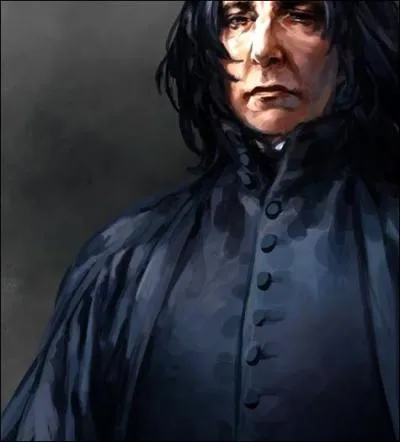 C'est le déclic pour Severus. Le collier en question est le même que celui du souvenir. Il ne sait cependant pas s'il a été détruit ou non pendant la Bataille de Poudlard... Combien d'Horcruxes sont détruits dans Harry Potter et les Reliques de la Mort (partie II) ?