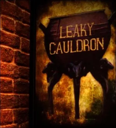 Rogue se rend à l'auberge du Chaudron Baveur pour faire le point sur ses recherches. Aperçue dans Harry Potter et le Prisonnier d'Azkaban, sur quel lieu donne-t-elle ?