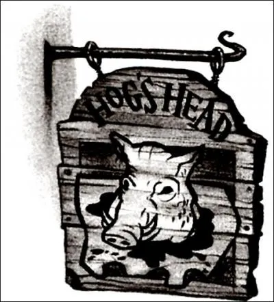 Un beau jour, dans son manoir familial, Severus Rogue tombe sur un vieux grimoire mentionnant un mot qu'il connaît : Horcruxe. Il retourne à Poudlard et empreinte les passages secrets. Comment les connaît-il ?