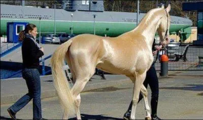 Trouvez le mot cach&eacute; dans l'une des trois r&eacute;ponses !