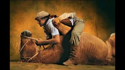 Trouvez le mot cach&eacute; dans l'une des trois phrases suivantes !