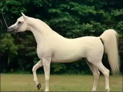 Retrouvez le mot dans la bonne phrase !