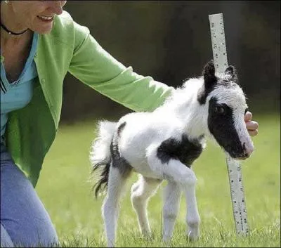 Trouvez le mot cach&eacute; dans le nom d'une actrice fran&ccedil;aise, d&eacute;c&eacute;d&eacute;e en f&eacute;vrier 2015, et dont le pr&eacute;nom est Corinne !