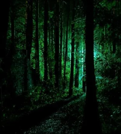 - Quand bien même ton poignard d'honorable facture
Veuille trancher crûment la moindre des soudures, 
Toutes les haines du monde ne te suffiraient pas
A briser son collier et sonner son trépas.
On ne peut détruire aucun des deux trésors
Entre eux, s'ils sont, les deux, pouvoirs de Gryffondor.

Que peut-on déduire de la nature de la dague ?